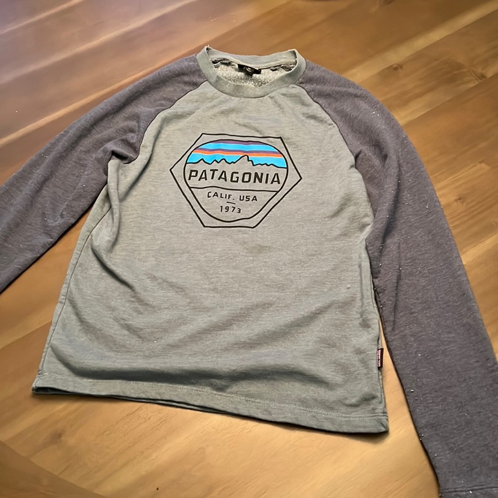 Patagonia sweatshirt